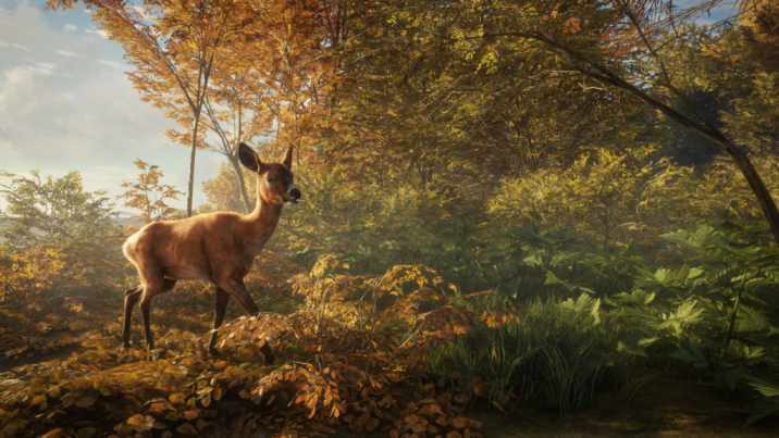 screenshot-roe-deer-female-1024×576